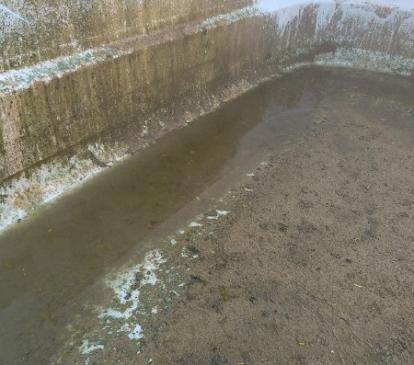 Nettoyage de Piscine sortie d'hivernage curage remise en eau pour la saison